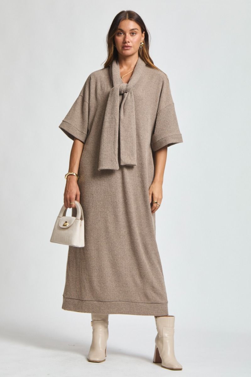 Travel Envy Dress